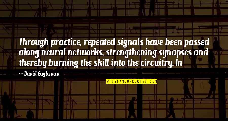 Jenn Air Generators Quotes By David Eagleman: Through practice, repeated signals have been passed along Jenn Air Generators Quotes By David Eagleman: Through practice, repeated signals have been passed along