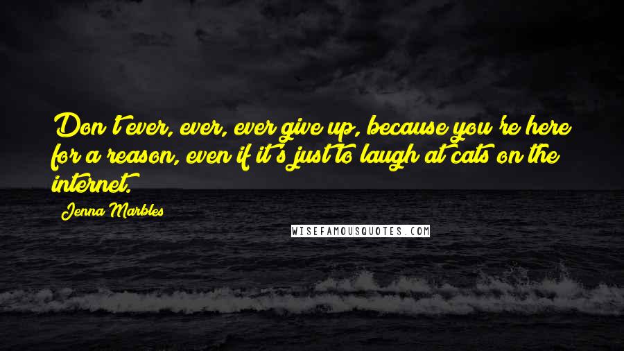 Jenna Marbles quotes: Don't ever, ever, ever give up, because you're here for a reason, even if it's just to laugh at cats on the internet.