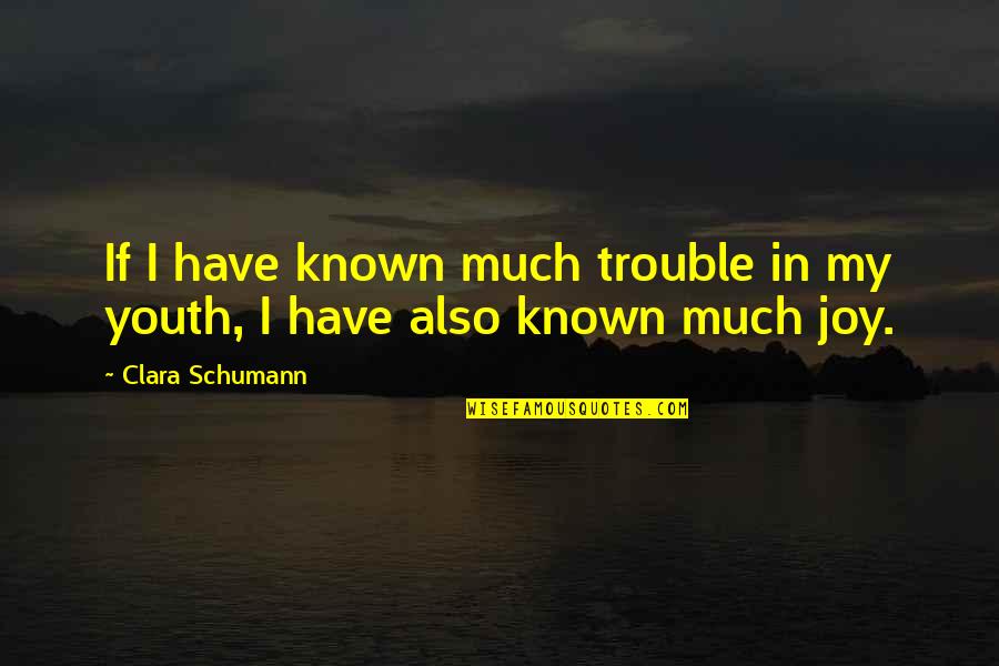 Jennae Chance Quotes By Clara Schumann: If I have known much trouble in my