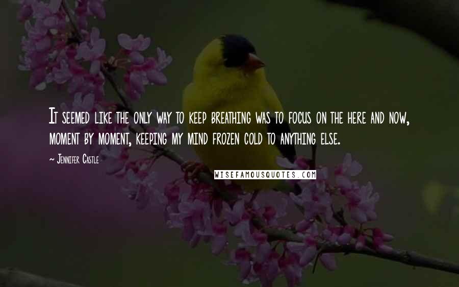 Jennifer Castle quotes: It seemed like the only way to keep breathing was to focus on the here and now, moment by moment, keeping my mind frozen cold to anything else.