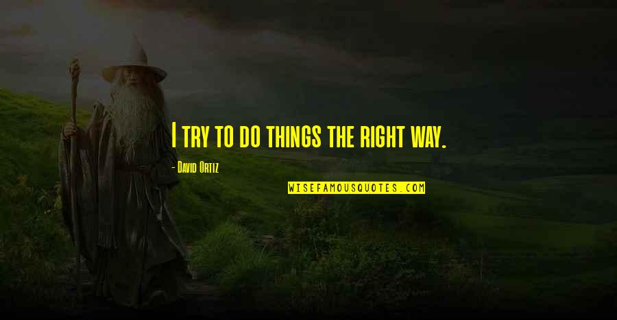 Jennifer Check Quotes By David Ortiz: I try to do things the right way. Jennifer Check Quotes By David Ortiz: I try to do things the right way.