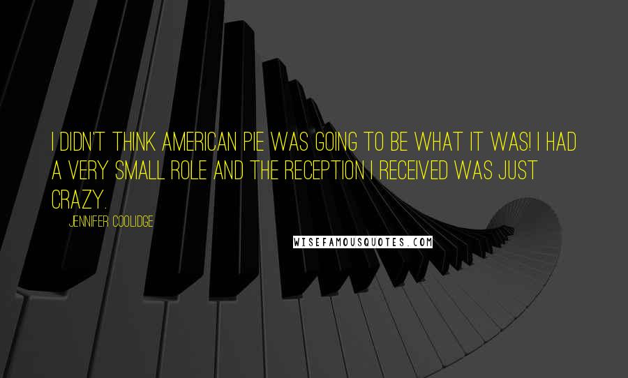 Jennifer Coolidge quotes: I didn't think American Pie was going to be what it was! I had a very small role and the reception I received was just crazy.