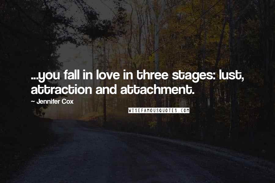 Jennifer Cox quotes: ...you fall in love in three stages: lust, attraction and attachment.