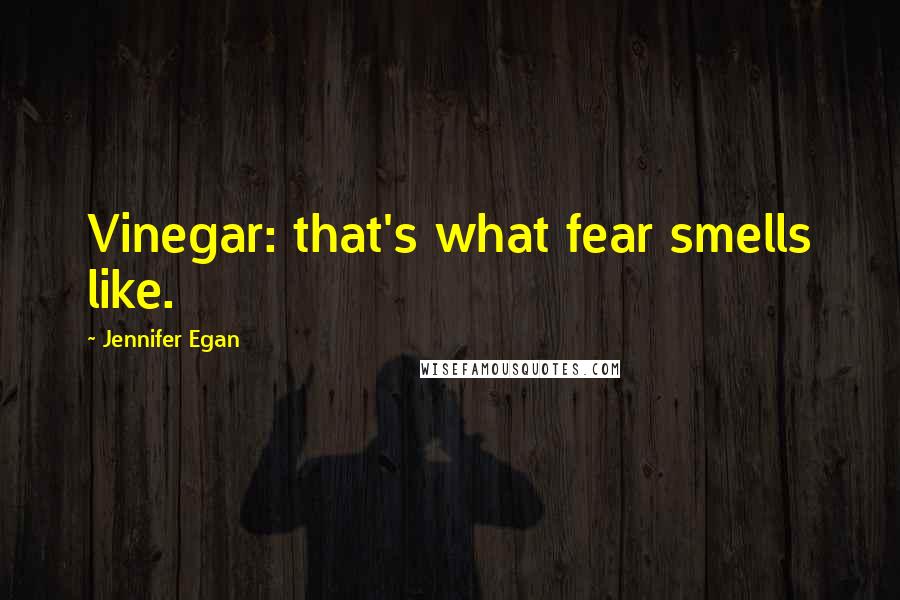 Jennifer Egan quotes: Vinegar: that's what fear smells like.