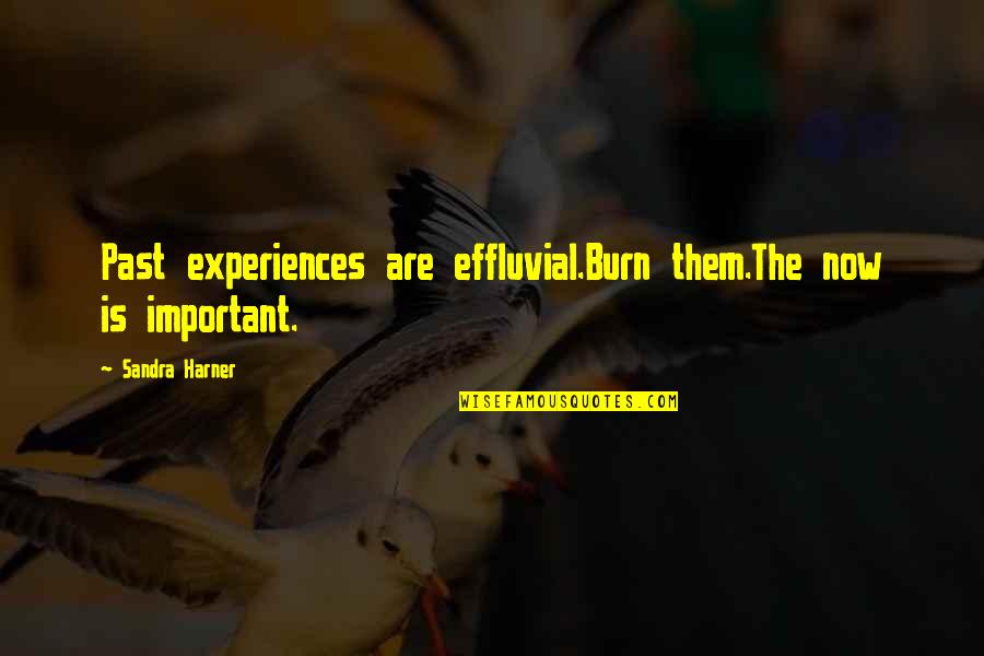 Jennifer Hawkins Quotes By Sandra Harner: Past experiences are effluvial.Burn them.The now is important.