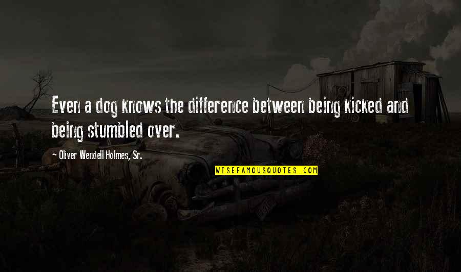 Jenny Forrest Gump Quotes By Oliver Wendell Holmes, Sr.: Even a dog knows the difference between being