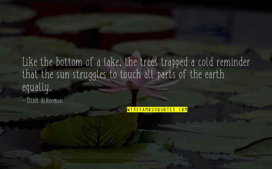 Jenny Nicholson Quotes By Elliot Ackerman: Like the bottom of a lake, the trees