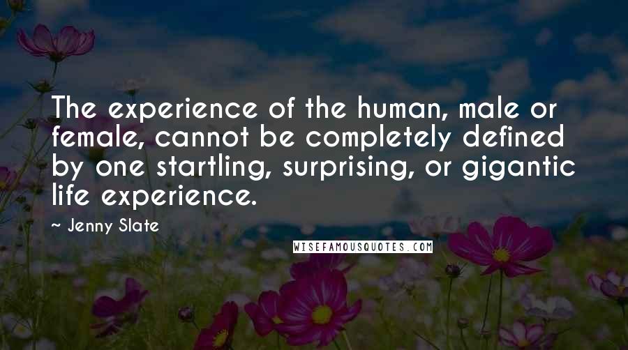 Jenny Slate quotes: The experience of the human, male or female, cannot be completely defined by one startling, surprising, or gigantic life experience.