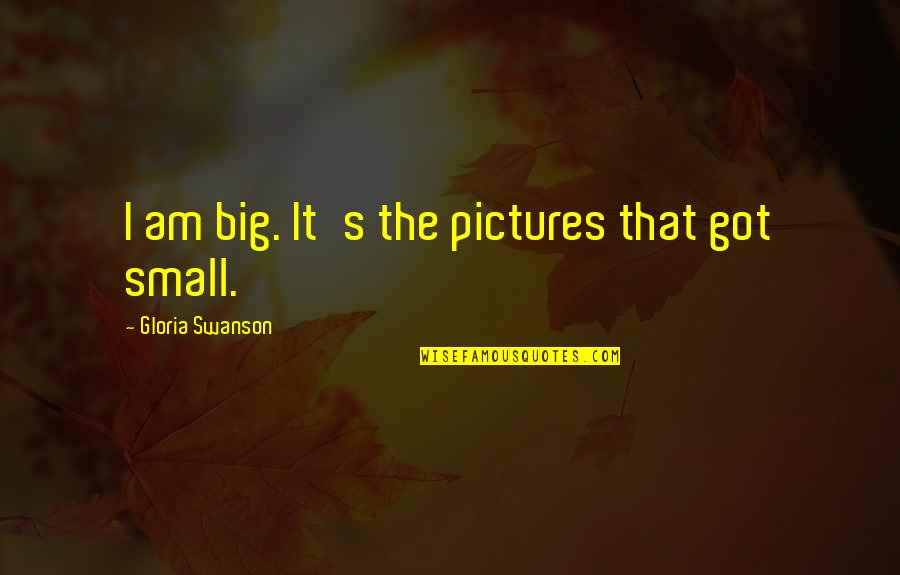 Jenova Quotes By Gloria Swanson: I am big. It's the pictures that got