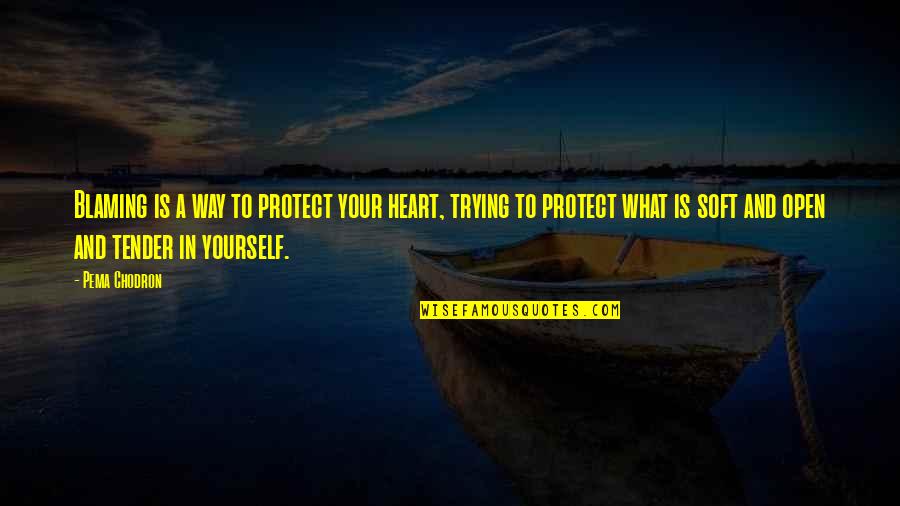 Jensenius Associates Quotes By Pema Chodron: Blaming is a way to protect your heart, Jensenius Associates Quotes By Pema Chodron: Blaming is a way to protect your heart,