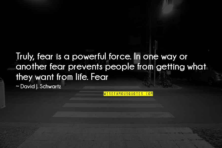 Jerametrius Butler Quotes By David J. Schwartz: Truly, fear is a powerful force. In one