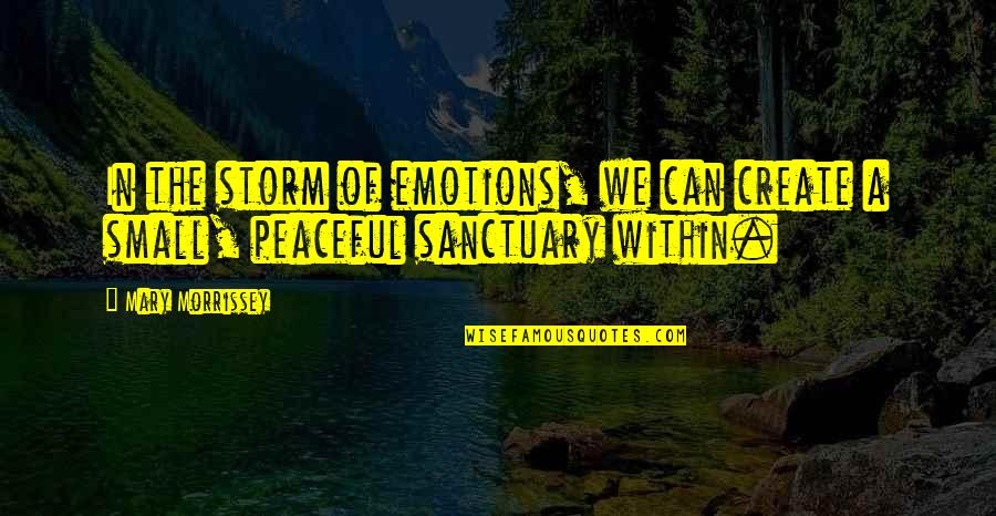 Jered Kenna Quotes By Mary Morrissey: In the storm of emotions, we can create
