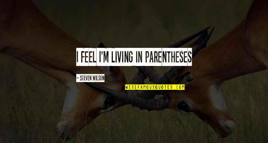 Jereghi Alexandru Quotes By Steven Wilson: I feel I'm living in parentheses