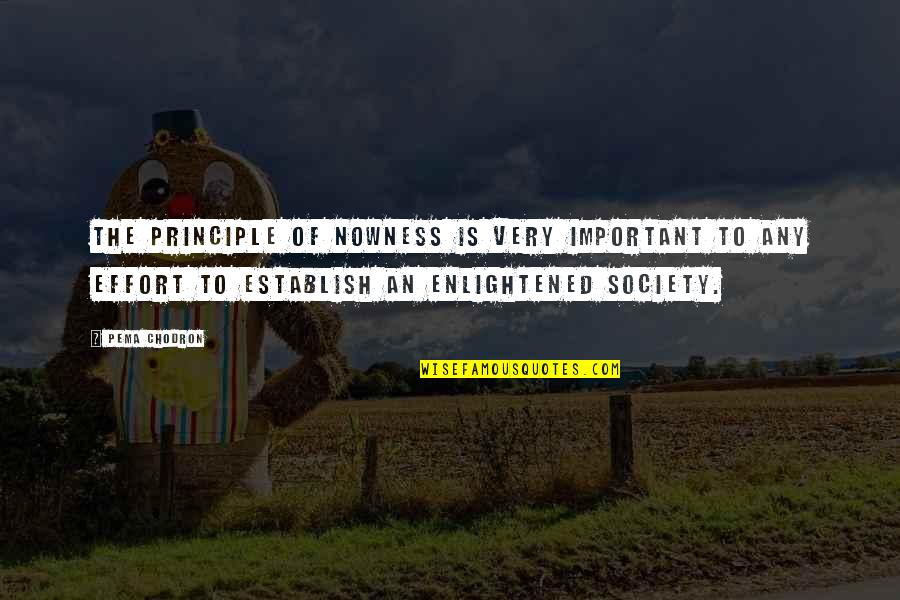 Jeremiah Johnson Quotes By Pema Chodron: The principle of nowness is very important to Jeremiah Johnson Quotes By Pema Chodron: The principle of nowness is very important to