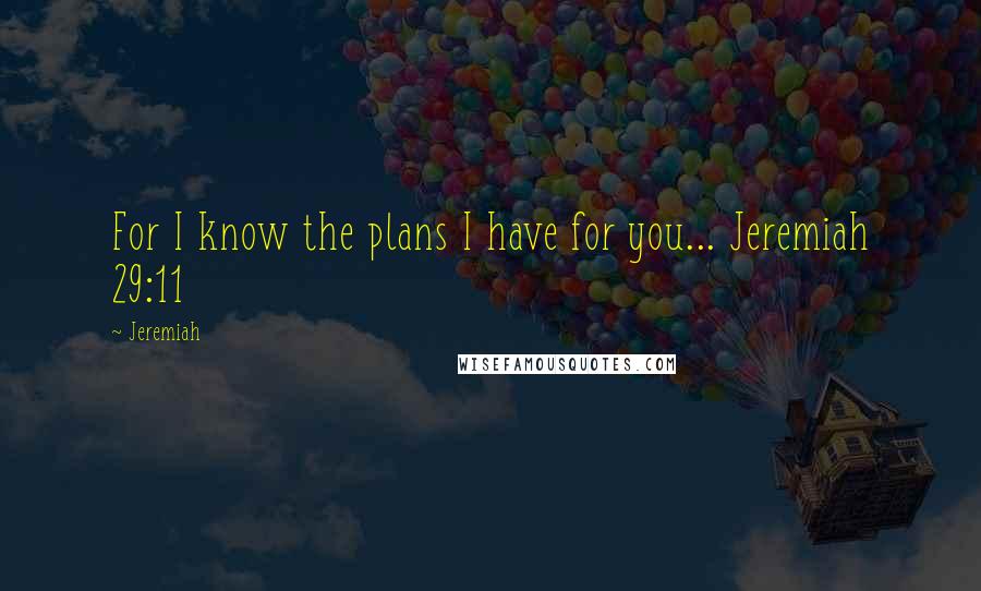 Jeremiah quotes: For I know the plans I have for you... Jeremiah 29:11