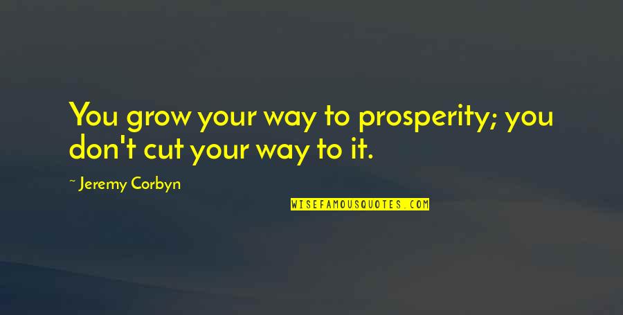 Jeremy Corbyn Quotes By Jeremy Corbyn: You grow your way to prosperity; you don't