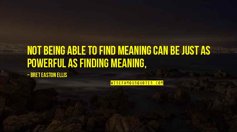 Jerga Dominicana Quotes By Bret Easton Ellis: Not being able to find meaning can be