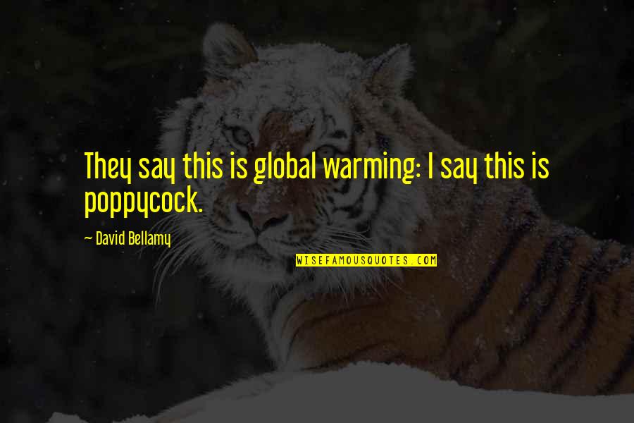 Jernih Antonim Quotes By David Bellamy: They say this is global warming: I say