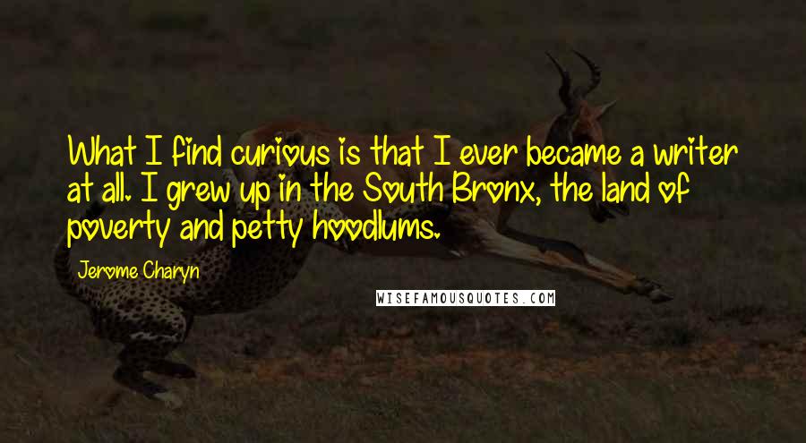 Jerome Charyn quotes: What I find curious is that I ever became a writer at all. I grew up in the South Bronx, the land of poverty and petty hoodlums.