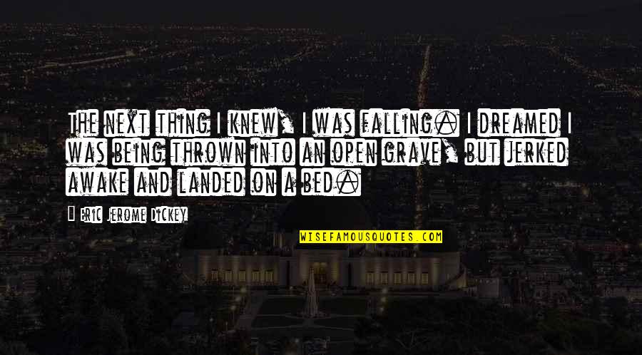 Jerome Dickey Quotes By Eric Jerome Dickey: The next thing I knew, I was falling.