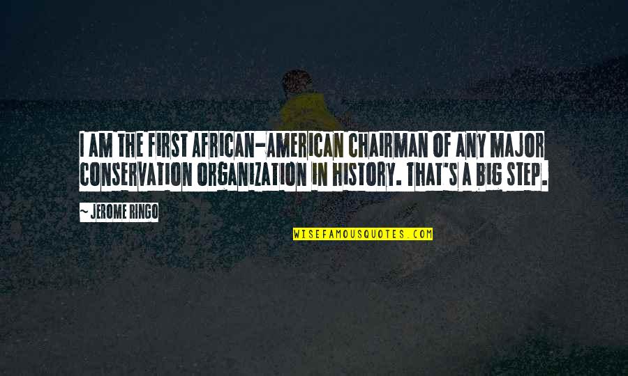 Jerome's Quotes By Jerome Ringo: I am the first African-American chairman of any