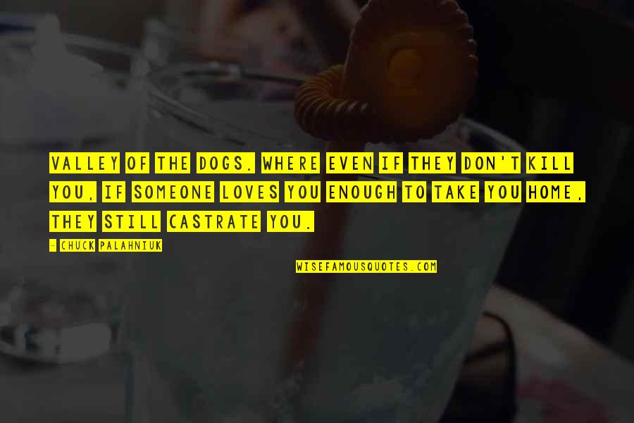Jerran Quotes By Chuck Palahniuk: Valley of the Dogs. Where even if they Jerran Quotes By Chuck Palahniuk: Valley of the Dogs. Where even if they