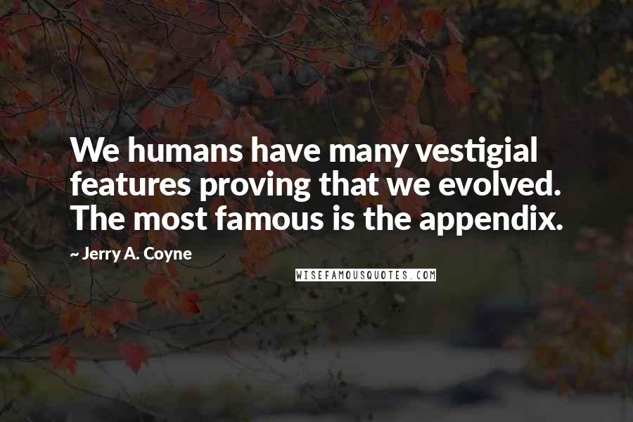 Jerry A. Coyne quotes: We humans have many vestigial features proving that we evolved. The most famous is the appendix.