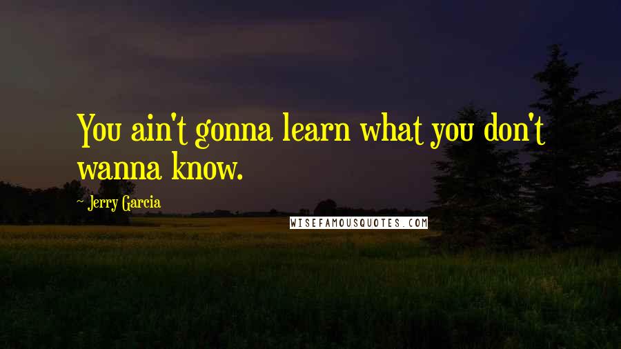 Jerry Garcia quotes: You ain't gonna learn what you don't wanna know.