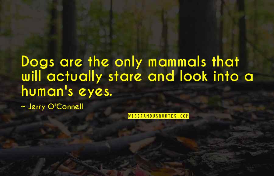 Jerry O'connell Quotes By Jerry O'Connell: Dogs are the only mammals that will actually
