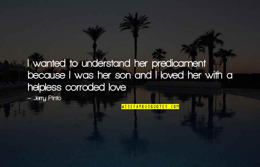 Jerry Pinto Quotes By Jerry Pinto: I wanted to understand her predicament because I
