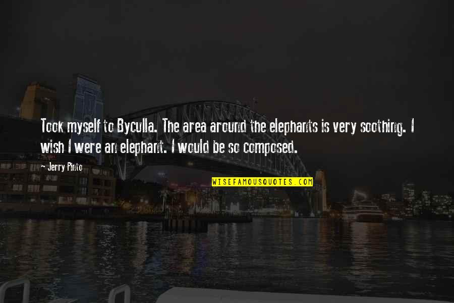 Jerry Pinto Quotes By Jerry Pinto: Took myself to Byculla. The area around the