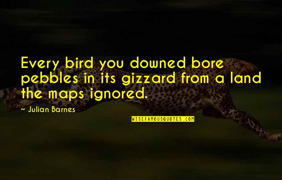 Jerry Sphere Quotes By Julian Barnes: Every bird you downed bore pebbles in its