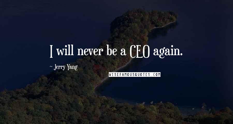 Jerry Yang quotes: I will never be a CEO again.