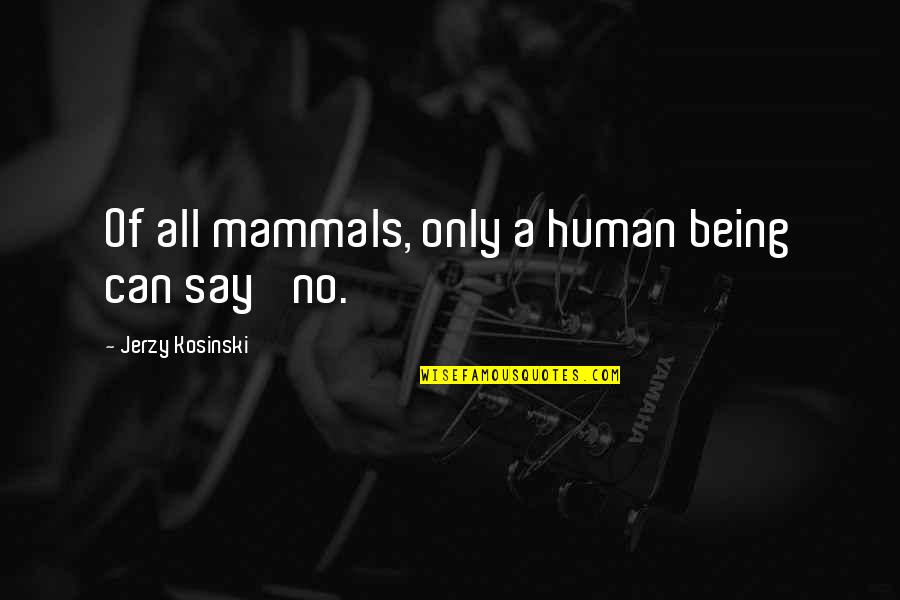 Jerzy Quotes By Jerzy Kosinski: Of all mammals, only a human being can Jerzy Quotes By Jerzy Kosinski: Of all mammals, only a human being can