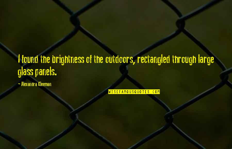 Jeschke Stuffed Quotes By Alexandra Kleeman: I found the brightness of the outdoors, rectangled