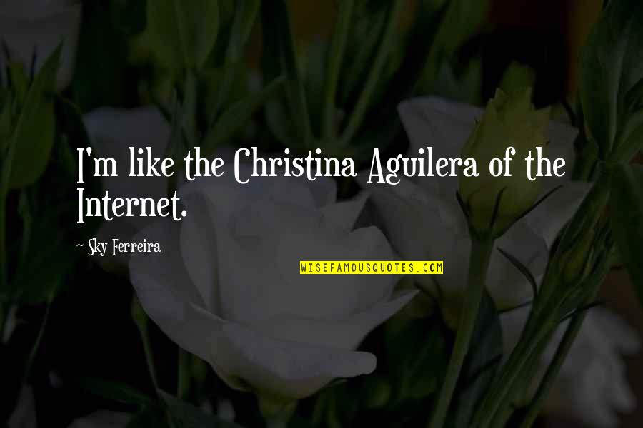 Jesco White Eggs Quote Quotes By Sky Ferreira: I'm like the Christina Aguilera of the Internet.