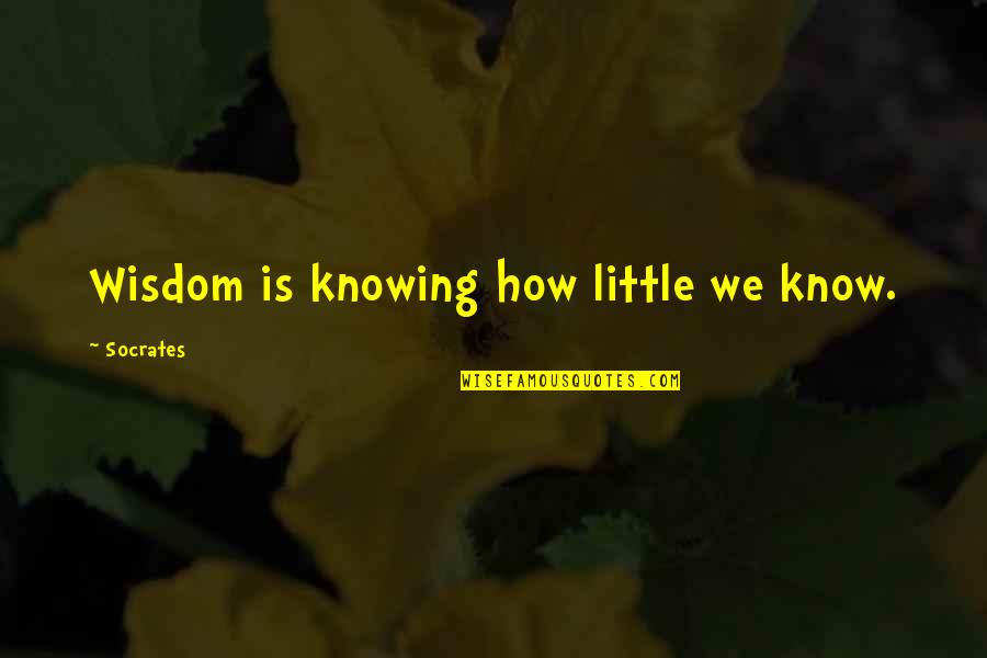Jeslyn Donnell Quotes By Socrates: Wisdom is knowing how little we know. Jeslyn Donnell Quotes By Socrates: Wisdom is knowing how little we know.