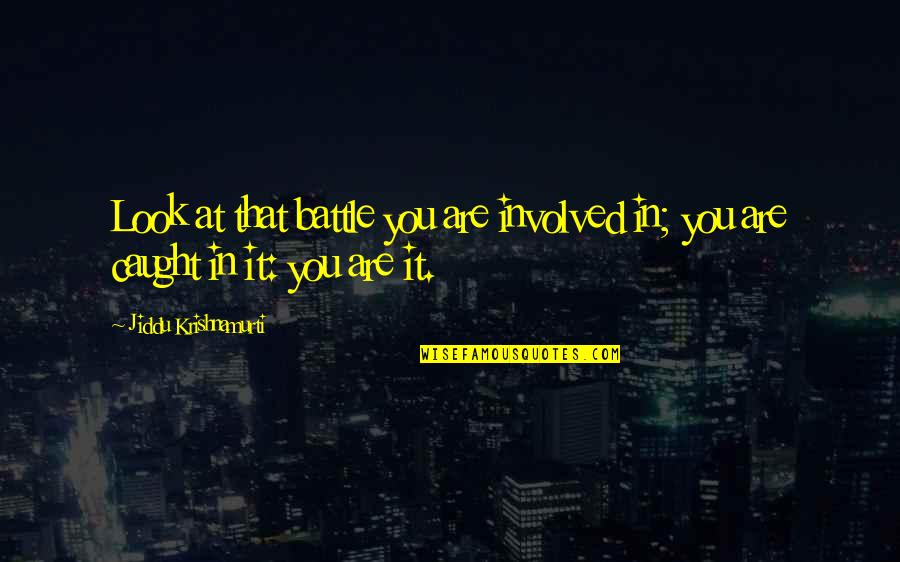 Jesse Bradford Quotes By Jiddu Krishnamurti: Look at that battle you are involved in;