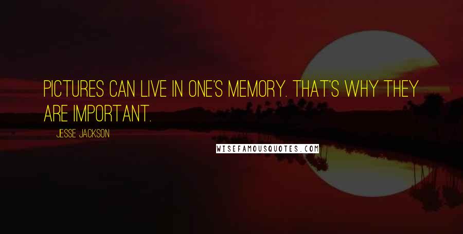 Jesse Jackson quotes: Pictures can live in one's memory. That's why they are important.