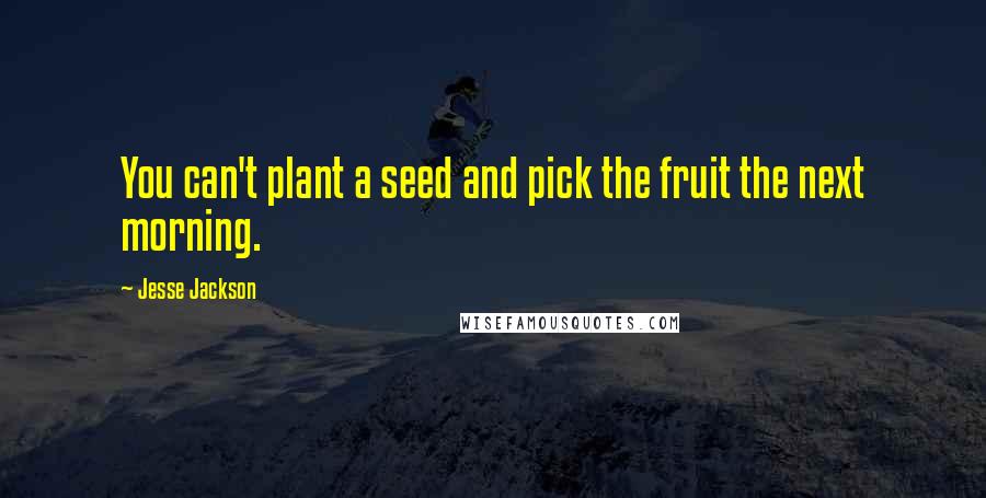 Jesse Jackson quotes: You can't plant a seed and pick the fruit the next morning. Jesse Jackson quotes: You can't plant a seed and pick the fruit the next morning.