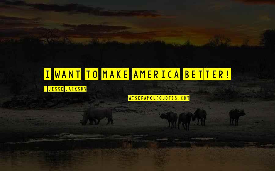 Jesse Jackson Quotes By Jesse Jackson: I want to make America better!