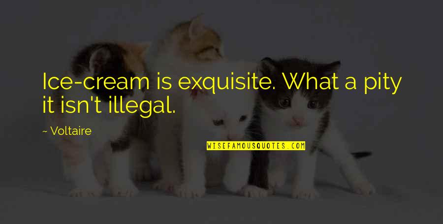 Jesse Jackson Rhyming Quotes By Voltaire: Ice-cream is exquisite. What a pity it isn't