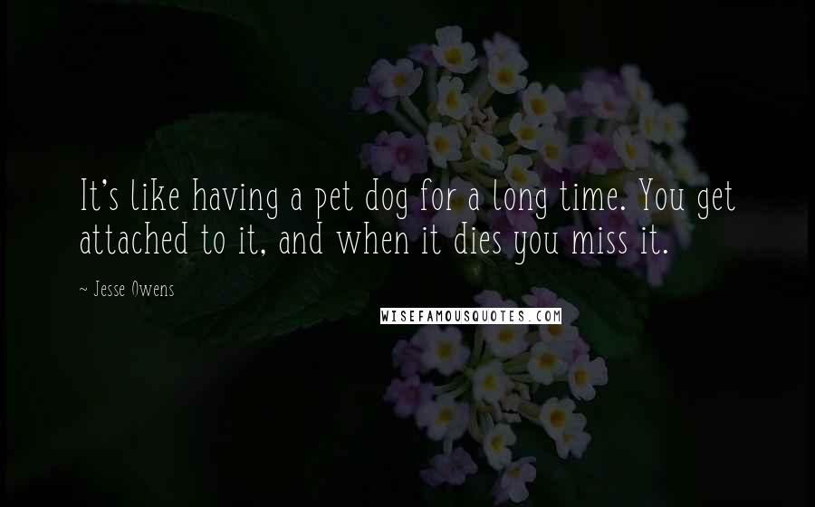 Jesse Owens quotes: It's like having a pet dog for a long time. You get attached to it, and when it dies you miss it.