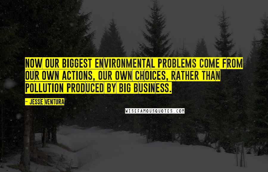 Jesse Ventura quotes: Now our biggest environmental problems come from our own actions, our own choices, rather than pollution produced by big business.