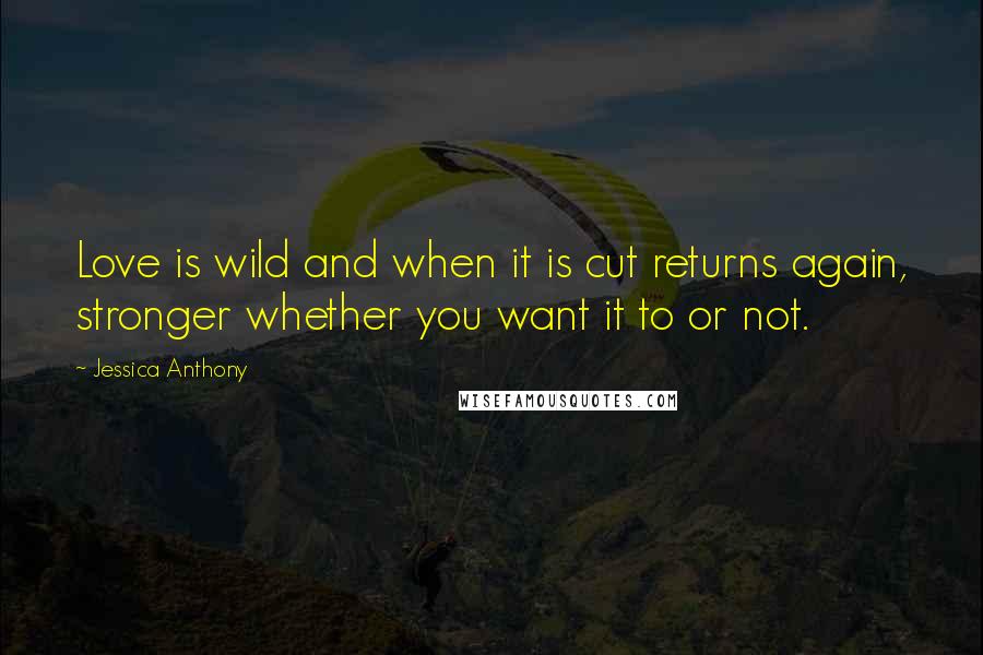 Jessica Anthony quotes: Love is wild and when it is cut returns again, stronger whether you want it to or not.