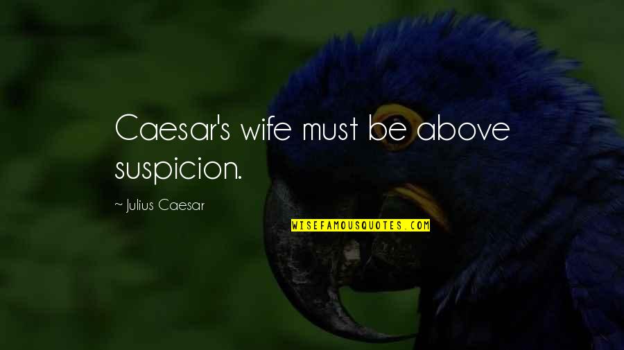 Jessica Brumley Quotes By Julius Caesar: Caesar's wife must be above suspicion.