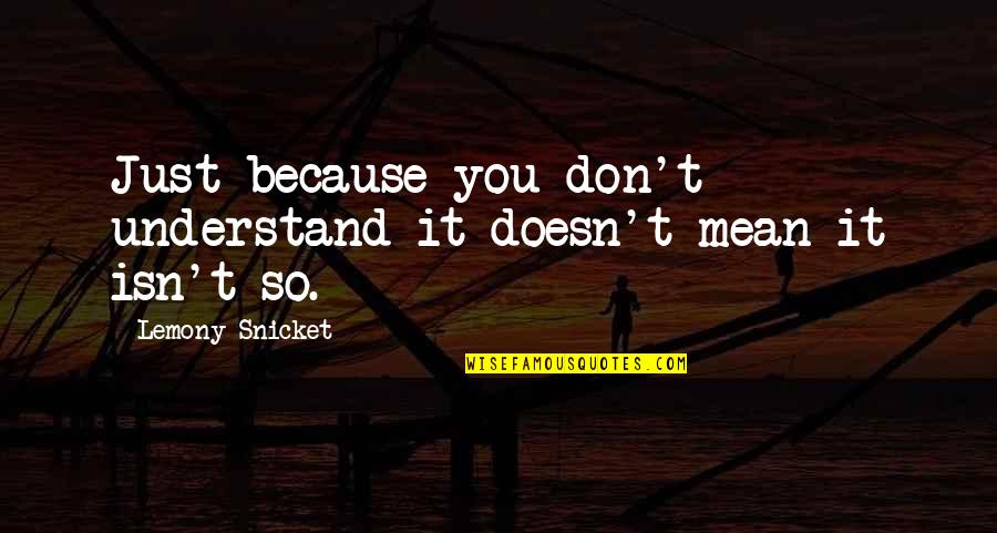 Jessica Burciaga Quotes By Lemony Snicket: Just because you don't understand it doesn't mean