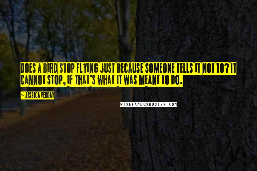 Jessica Verday quotes: Does a bird stop flying just because someone tells it not to? It cannot stop, if that's what it was meant to do.