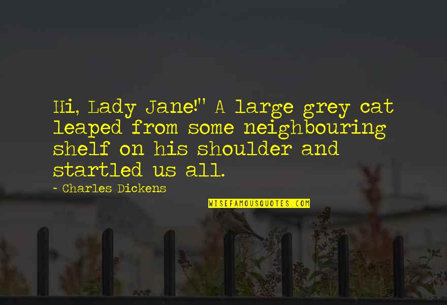 Jesslyn Fagundes Quotes By Charles Dickens: Hi, Lady Jane!" A large grey cat leaped