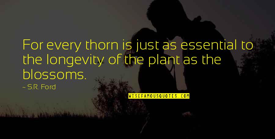 Jested Quotes By S.R. Ford: For every thorn is just as essential to